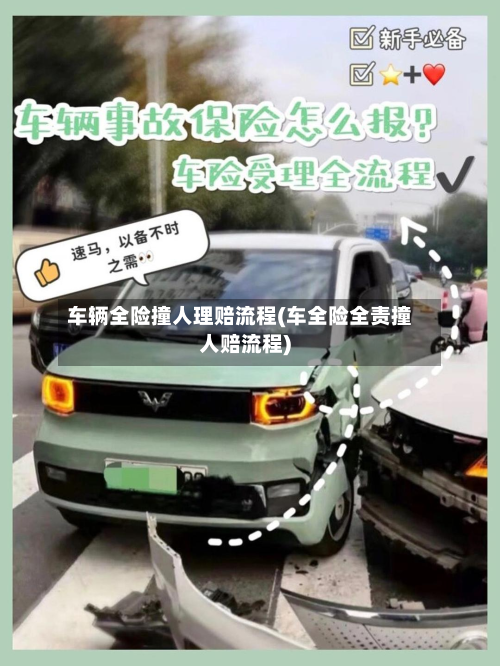 车辆全险撞人理赔流程(车全险全责撞人赔流程)