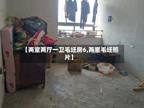 【两室两厅一卫毛坯房6,两室毛坯照片】-第2张图片