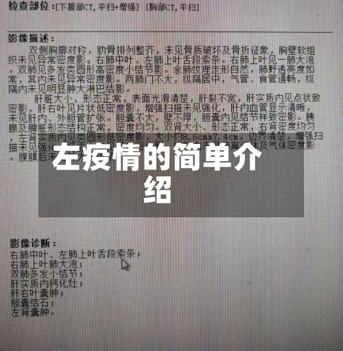 左疫情的简单介绍