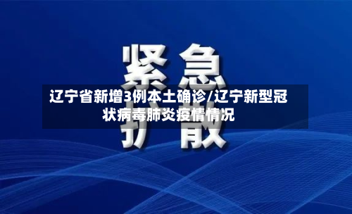 辽宁省新增3例本土确诊/辽宁新型冠状病毒肺炎疫情情况-第2张图片