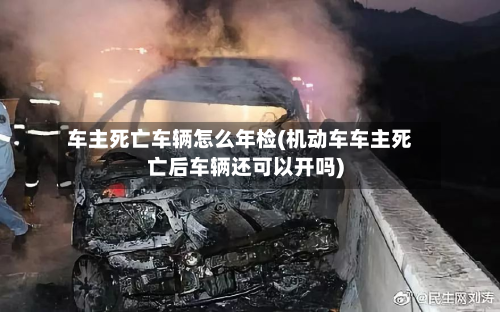 车主死亡车辆怎么年检(机动车车主死亡后车辆还可以开吗)