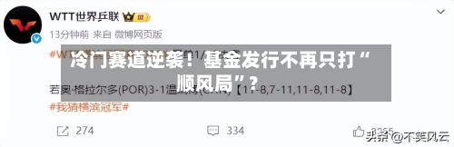 冷门赛道逆袭！基金发行不再只打“顺风局”？