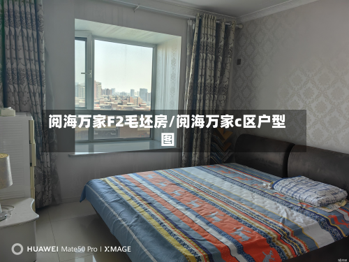 阅海万家F2毛坯房/阅海万家c区户型图