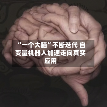 “一个大脑”不断迭代 自变量机器人加速走向真实应用-第2张图片