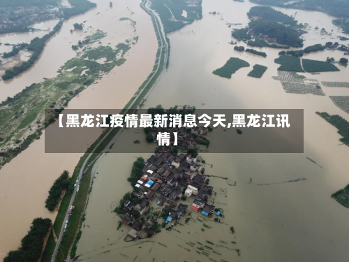 【黑龙江疫情最新消息今天,黑龙江讯情】