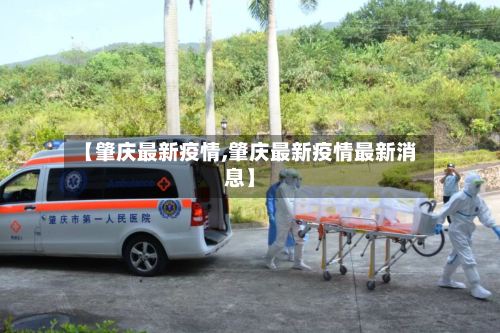 【肇庆最新疫情,肇庆最新疫情最新消息】-第2张图片