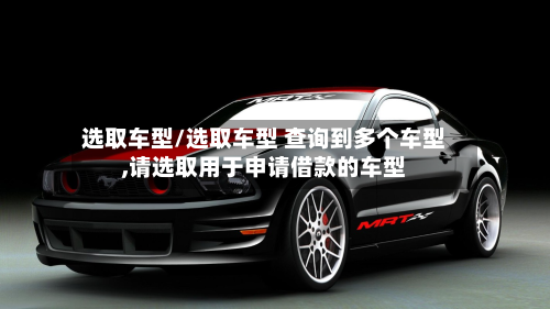 选取车型/选取车型 查询到多个车型,请选取用于申请借款的车型-第2张图片