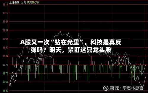A股又一次“站在光里	”	，科技是真反弹吗？明天，紧盯这只龙头股-第2张图片