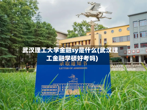 武汉理工大学金融sy是什么(武汉理工金融学硕好考吗)-第3张图片