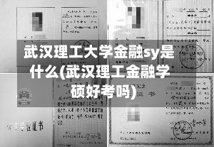 武汉理工大学金融sy是什么(武汉理工金融学硕好考吗)