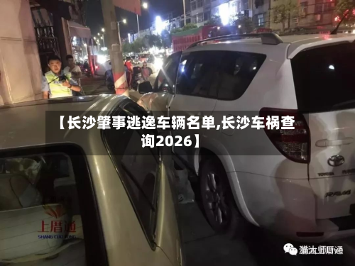 【长沙肇事逃逸车辆名单,长沙车祸查询2026】-第2张图片