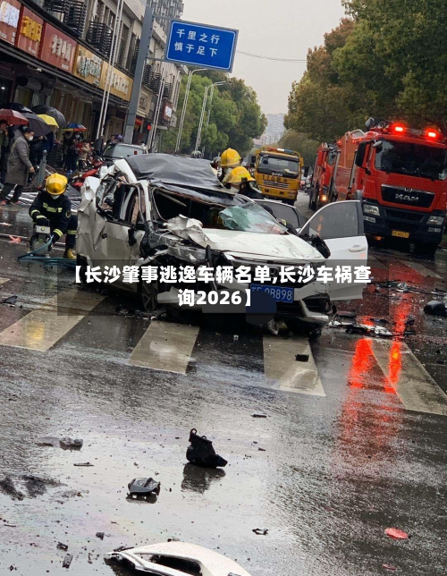 【长沙肇事逃逸车辆名单,长沙车祸查询2026】