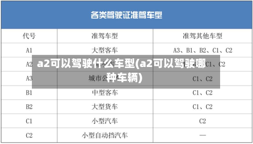 a2可以驾驶什么车型(a2可以驾驶哪种车辆)-第3张图片