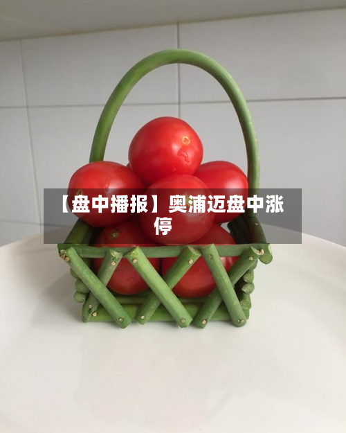 【盘中播报】奥浦迈盘中涨停