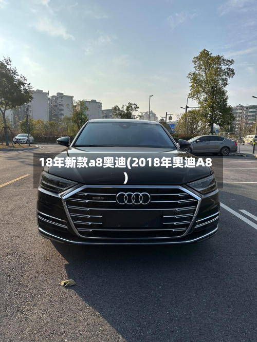 18年新款a8奥迪(2018年奥迪A8)-第3张图片