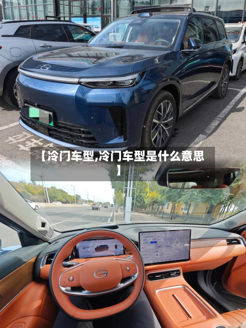 【冷门车型,冷门车型是什么意思】