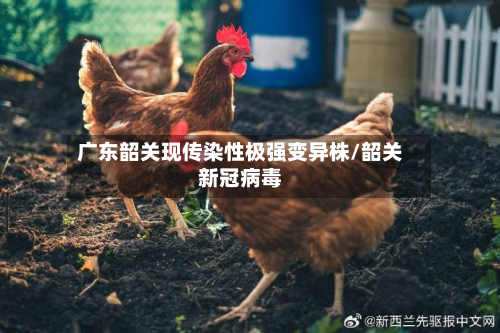 广东韶关现传染性极强变异株/韶关新冠病毒