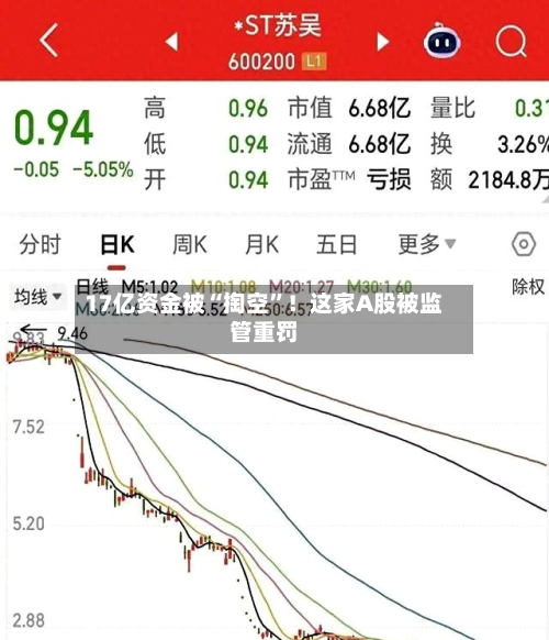 17亿资金被“掏空”！这家A股被监管重罚-第2张图片