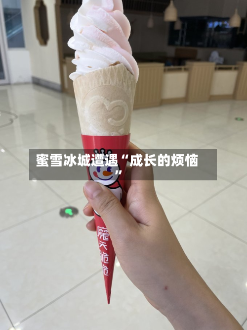 蜜雪冰城遭遇“成长的烦恼”-第2张图片