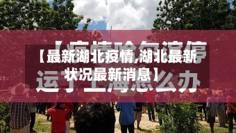 【最新湖北疫情,湖北最新状况最新消息】-第3张图片
