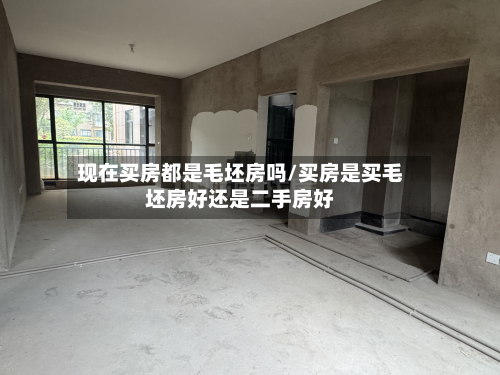 现在买房都是毛坯房吗/买房是买毛坯房好还是二手房好-第2张图片