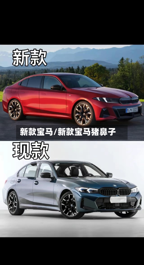新款宝马/新款宝马猪鼻子