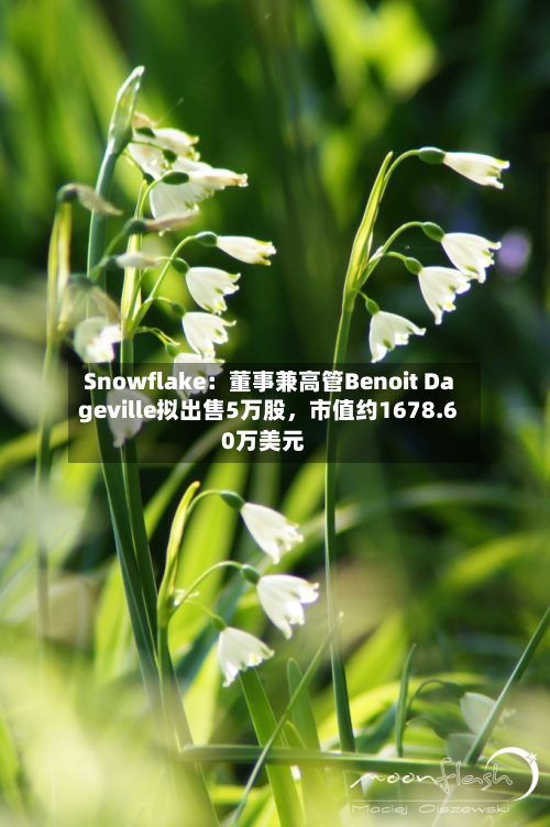 Snowflake：董事兼高管Benoit Dageville拟出售5万股，市值约1678.60万美元