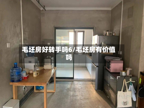 毛坯房好转手吗6/毛坯房有价值吗-第3张图片