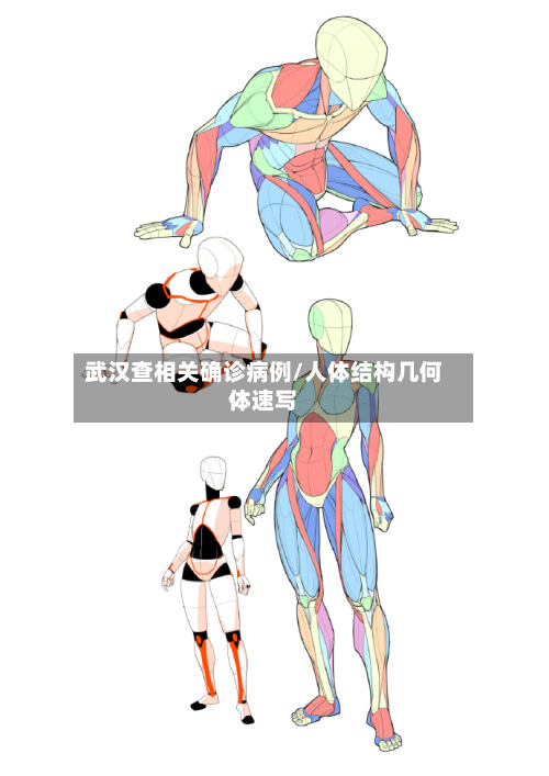 武汉查相关确诊病例/人体结构几何体速写