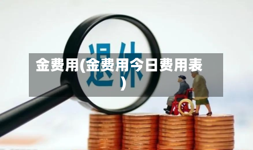 金费用(金费用今日费用表)-第2张图片
