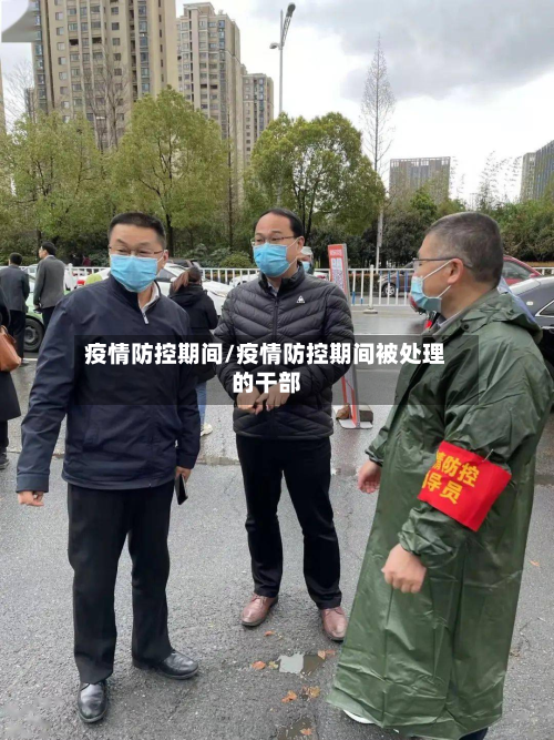 疫情防控期间/疫情防控期间被处理的干部