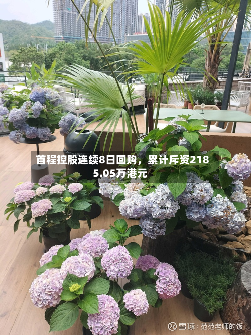 首程控股连续8日回购，累计斥资2185.05万港元-第2张图片