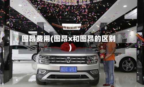 图昂费用(图昂x和图昂的区别)-第3张图片