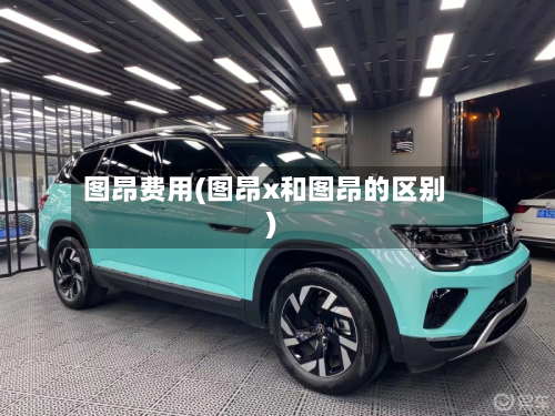 图昂费用(图昂x和图昂的区别)