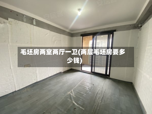 毛坯房两室两厅一卫(两层毛坯房要多少钱)