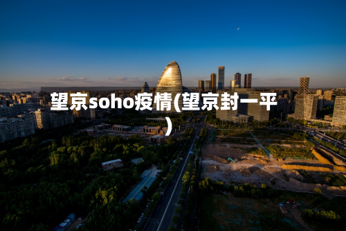 望京soho疫情(望京封一平)