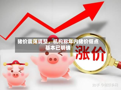 猪价震荡调整，机构称年内猪价低点基本已明确
