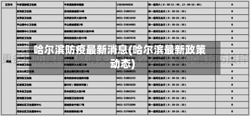 哈尔滨防疫最新消息(哈尔滨最新政策动态)-第2张图片