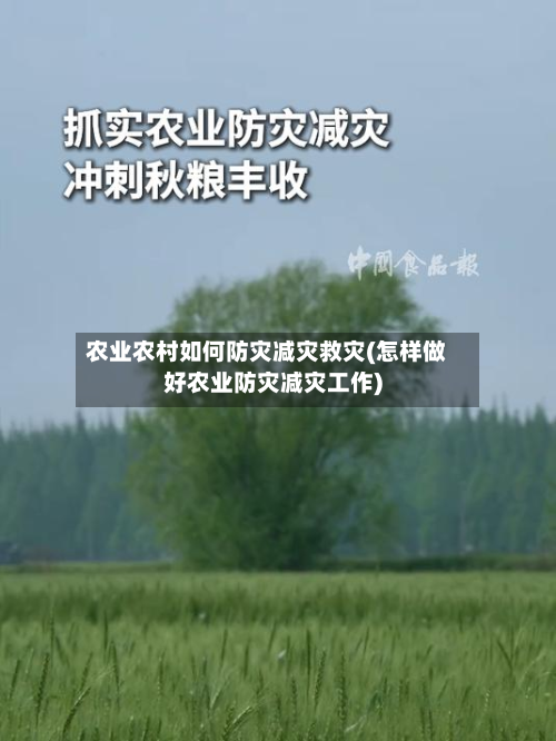 农业农村如何防灾减灾救灾(怎样做好农业防灾减灾工作)-第2张图片