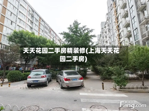 天天花园二手房精装修(上海天天花园二手房)