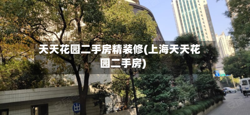 天天花园二手房精装修(上海天天花园二手房)-第2张图片