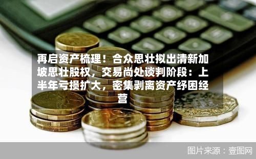 再启资产梳理！合众思壮拟出清新加坡思壮股权，交易尚处谈判阶段：上半年亏损扩大，密集剥离资产纾困经营