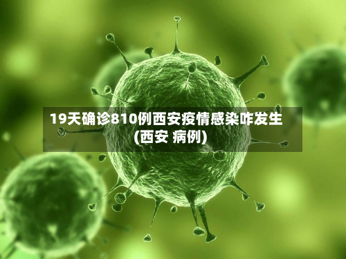 19天确诊810例西安疫情感染咋发生(西安 病例)-第3张图片