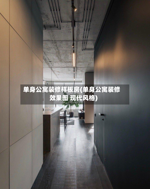 单身公寓装修样板房(单身公寓装修效果图 现代风格)-第2张图片