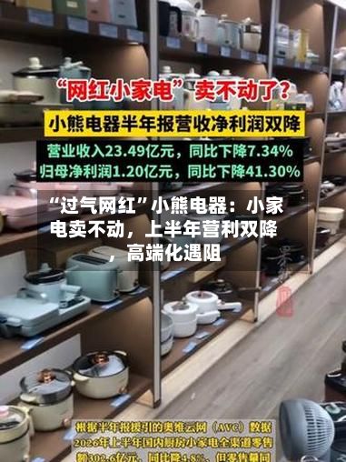 “过气网红	”小熊电器：小家电卖不动，上半年营利双降	，高端化遇阻-第2张图片