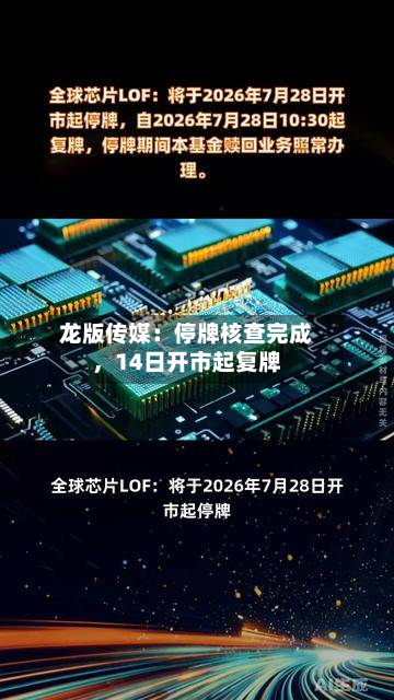 龙版传媒：停牌核查完成，14日开市起复牌-第3张图片