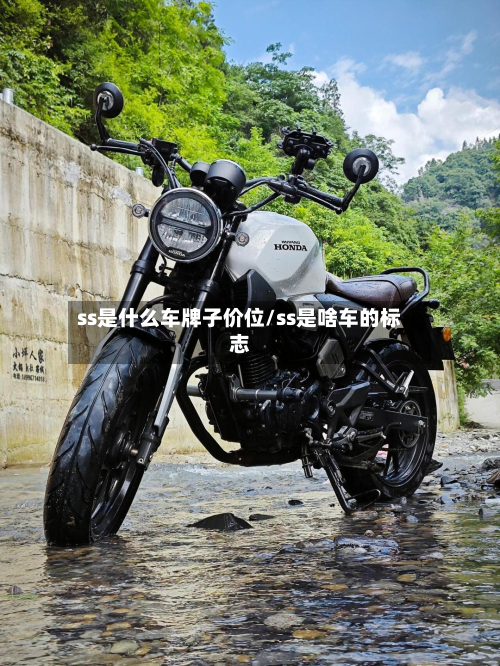 ss是什么车牌子价位/ss是啥车的标志