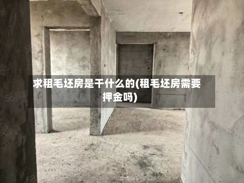 求租毛坯房是干什么的(租毛坯房需要押金吗)