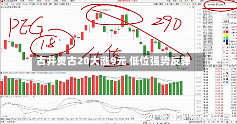 古井贡古20大涨9元 低位强势反弹