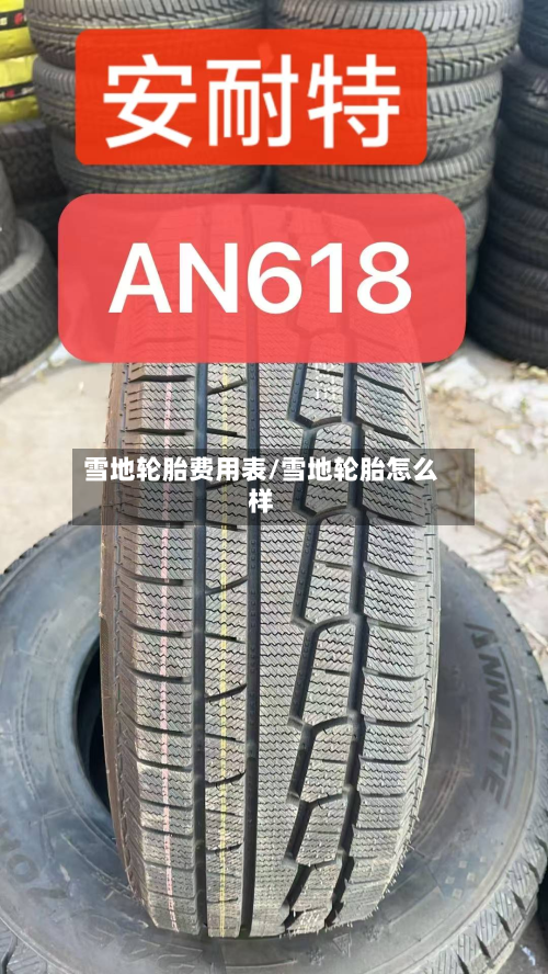 雪地轮胎费用表/雪地轮胎怎么样